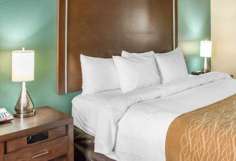 스탠다드 룸 킹사이즈 침대, Comfort Inn & Suites San Marcos