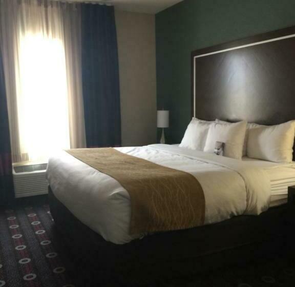 스탠다드 룸 킹사이즈 침대, Comfort Inn & Suites San Marcos