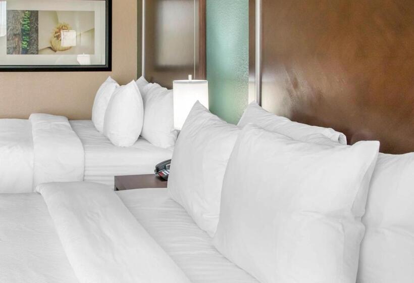 스위트, Comfort Inn & Suites San Marcos