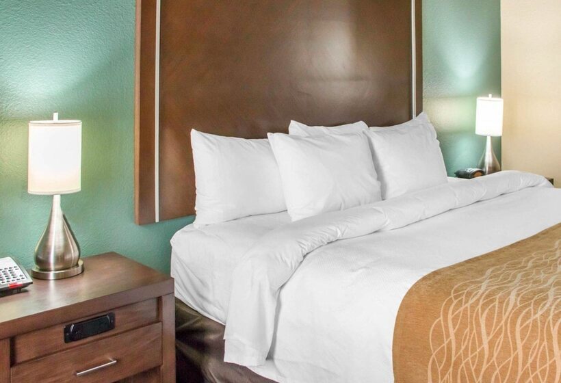 스위트, Comfort Inn & Suites San Marcos