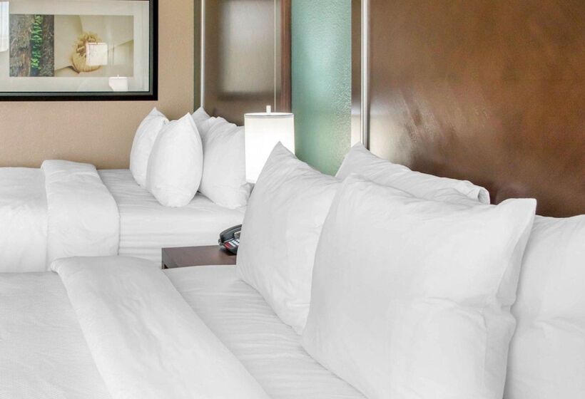 스위트, Comfort Inn & Suites San Marcos