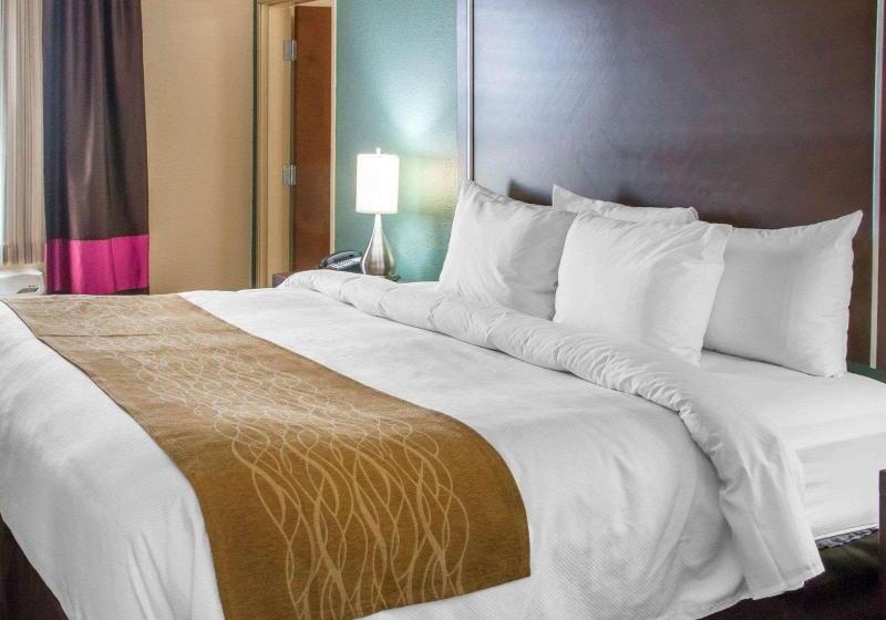 스탠다드 룸 킹사이즈 침대, Comfort Inn & Suites San Marcos