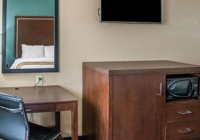 스탠다드 룸 킹사이즈 침대, Comfort Inn & Suites San Marcos