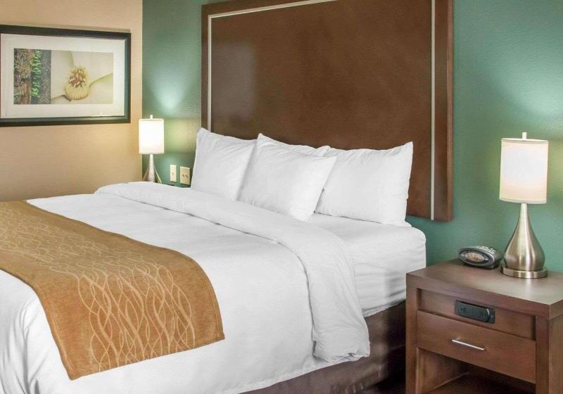 스탠다드 룸 킹사이즈 침대, Comfort Inn & Suites San Marcos