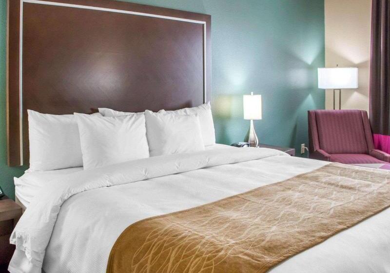 스탠다드 룸 킹사이즈 침대, Comfort Inn & Suites San Marcos