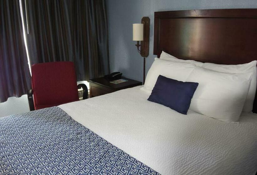 Quarto Estandar Individual, Edgewater Inn