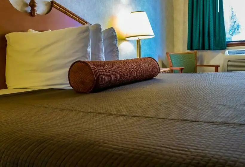 Mini Suite, Guest House Inn