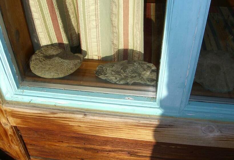 家庭套房, Brigitte S Bavarian B&b