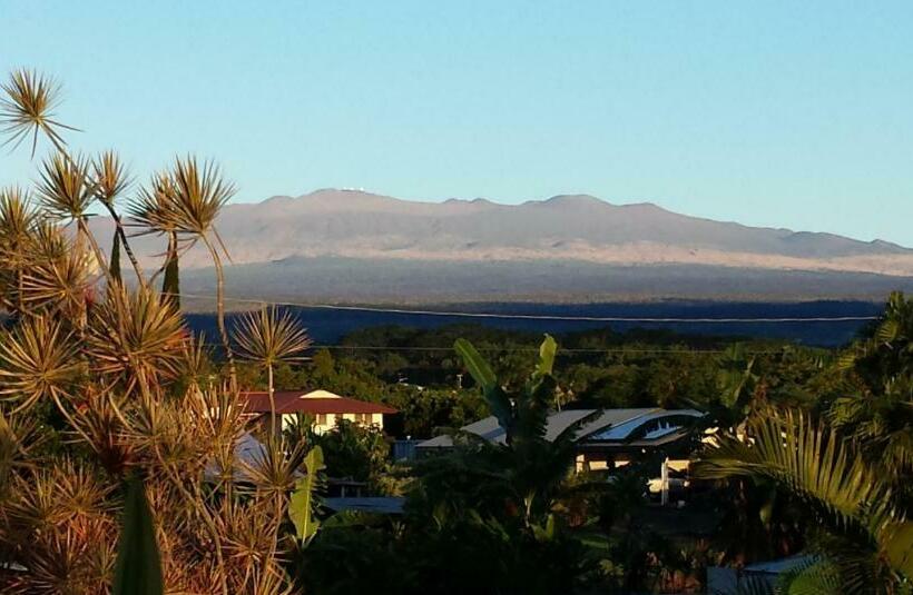 Семейное Студио, Shaka Shak Guest House