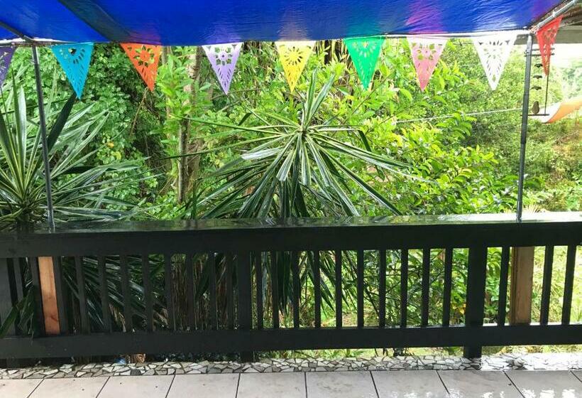 Семейное Студио, Shaka Shak Guest House