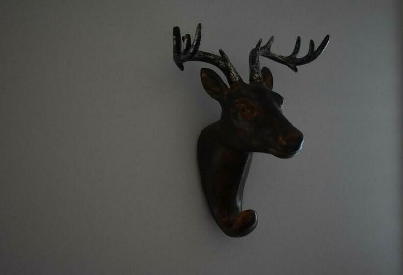 스탠다드 룸, The Little River Inn