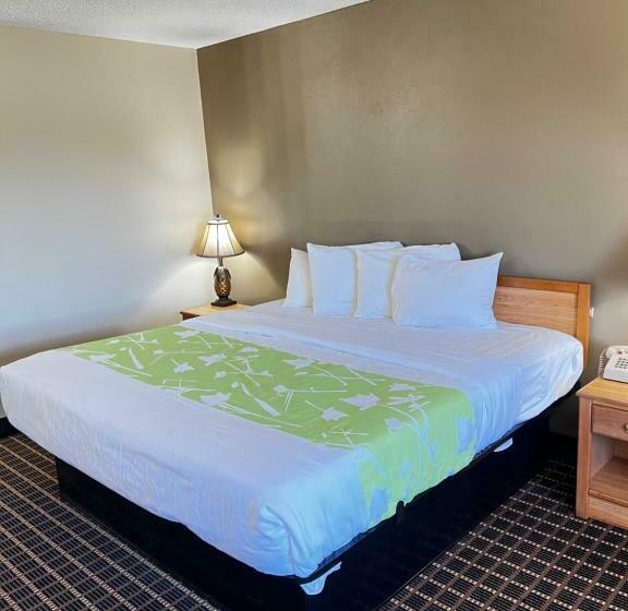 带大床的标准间, Designer Inn And Suites
