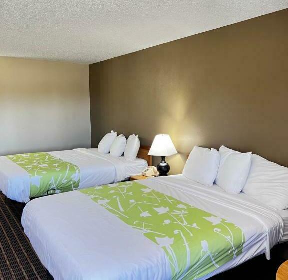 스탠다드 룸, Designer Inn And Suites