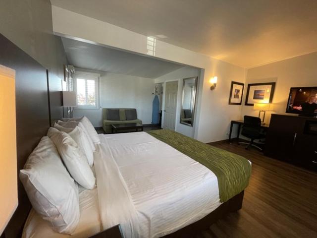 스탠다드 룸 킹사이즈 침대, Hi View Inn & Suites