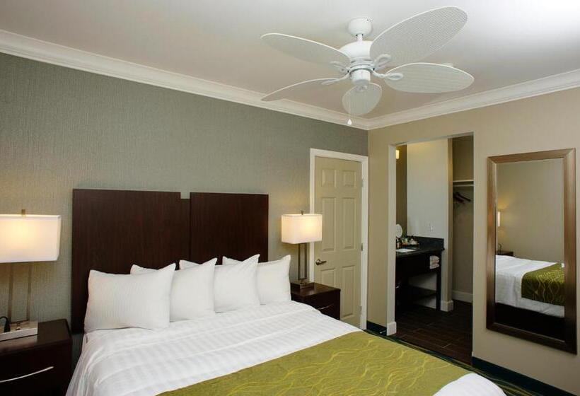 إستوديو قياسى, Hi View Inn & Suites