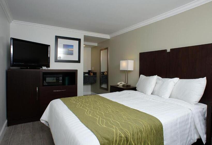 غرفة قياسية, Hi View Inn & Suites