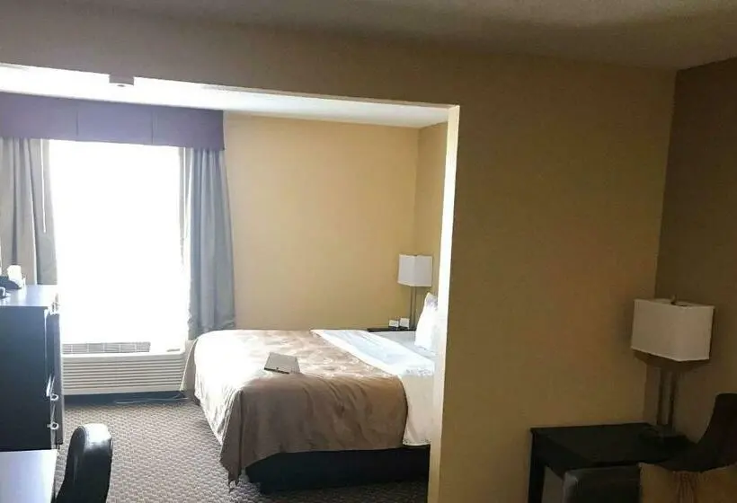 Sviitti King-vuode, Quality Inn & Suites Mendota Near I 39