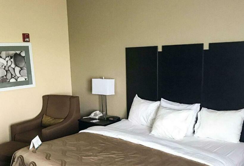 غرفة قياسية, Quality Inn & Suites Mendota Near I 39