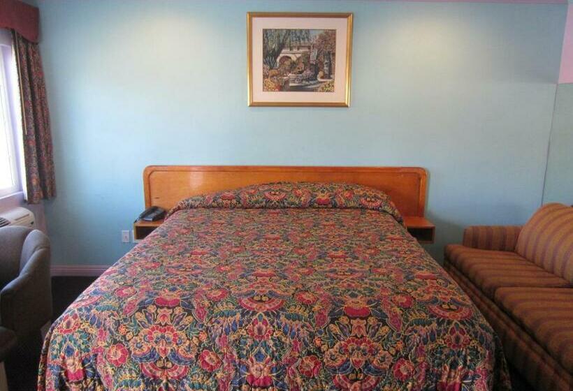 带大床的标准间, Starlight Inn Van Nuys