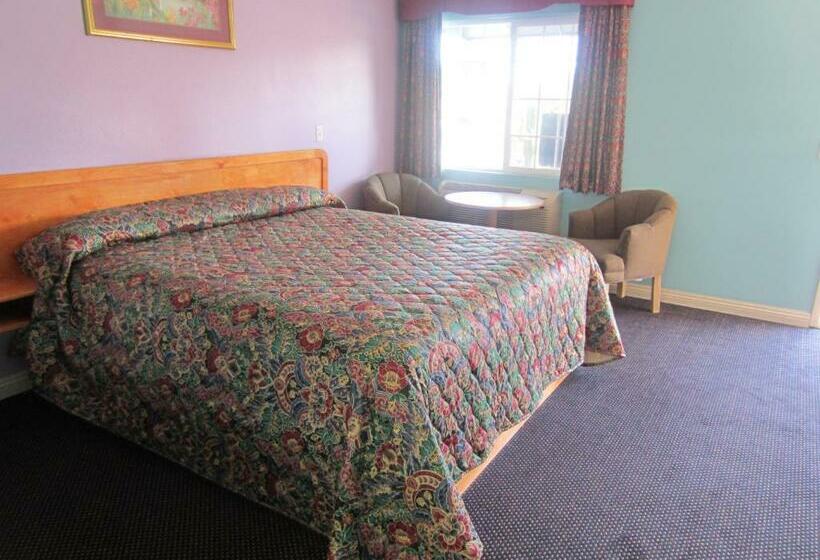 带大床的标准间, Starlight Inn Van Nuys