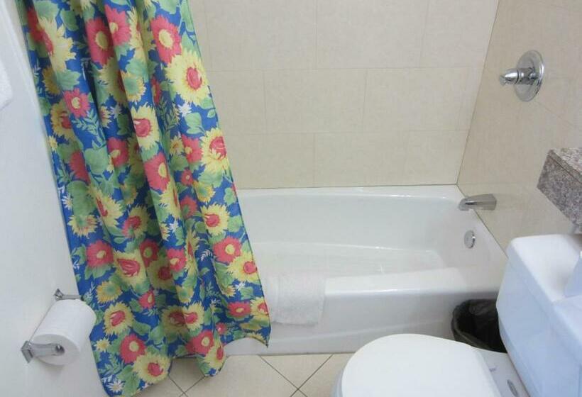 带大床的标准间, Starlight Inn Van Nuys