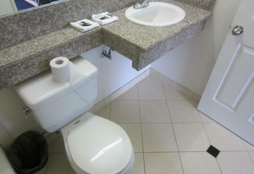 带大床的标准间, Starlight Inn Van Nuys