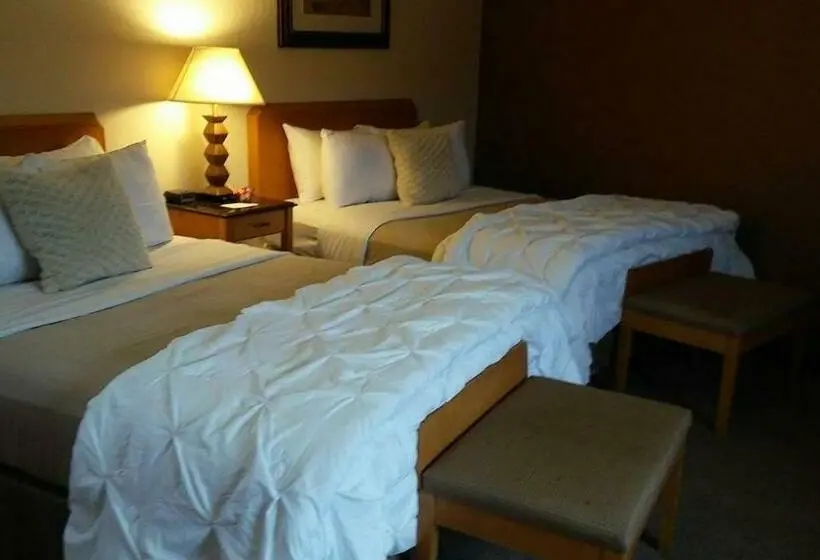障害者適応デラックスルーム, Starlight Lodge At Rockport Harbor