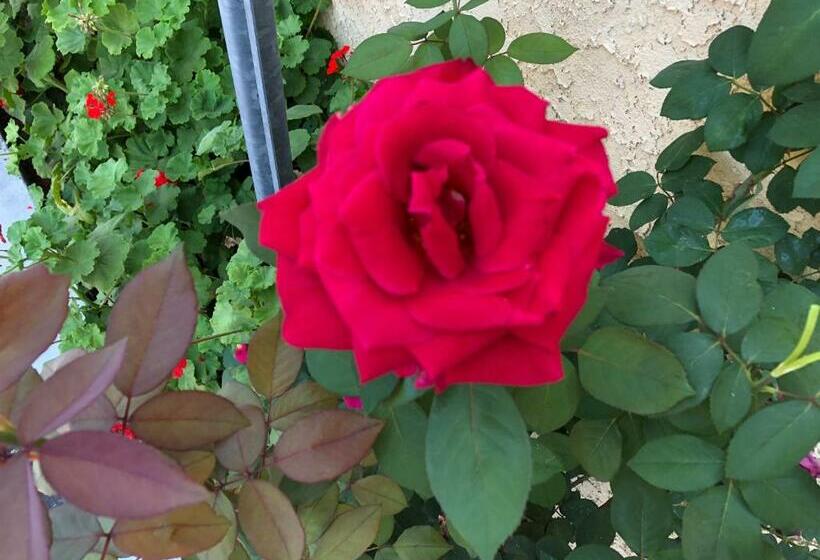 스탠다드 룸, Whittier Travel Inn