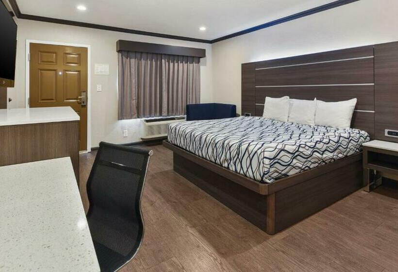 带大床的标准间, Oak Park Motel