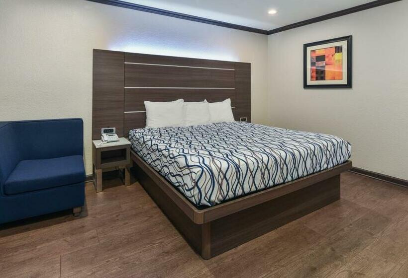 غرفة قياسية سرير كينج, Oak Park Motel