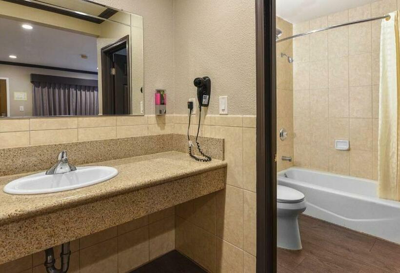 스탠다드 룸 킹사이즈 침대, Oak Park Motel
