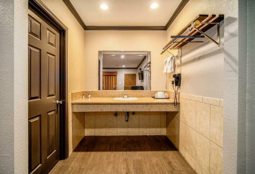 带大床的标准间, Oak Park Motel