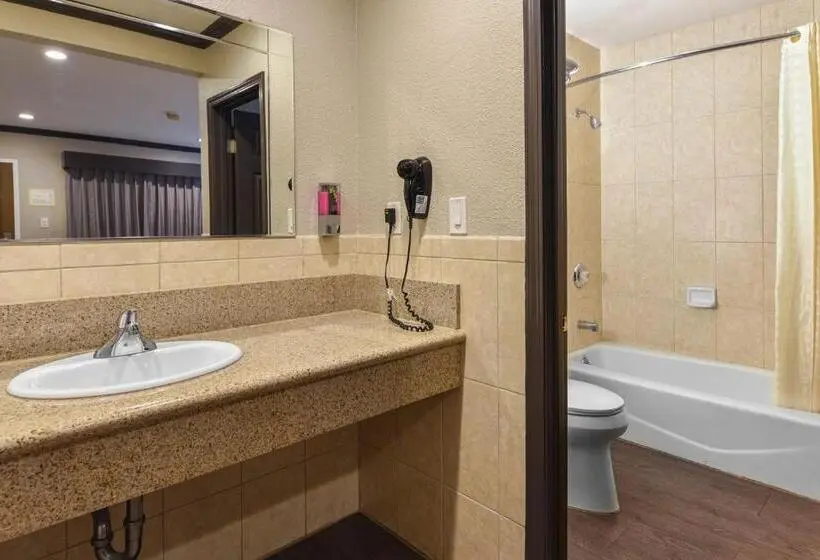 Standard-huone, Oak Park Motel