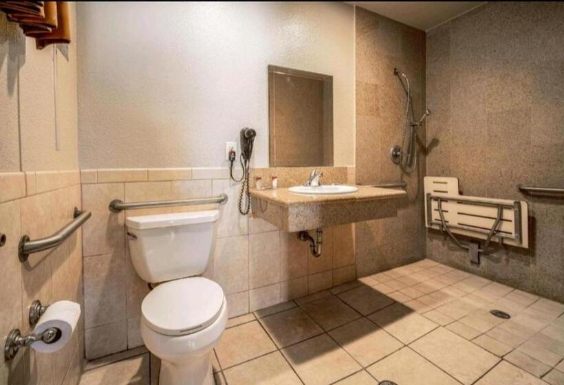 غرفة قياسية لذوى الاحتياجات الخاصة, Oak Park Motel