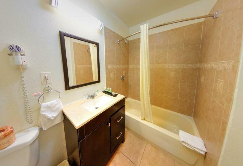 标准间, Palm Tropics Motel
