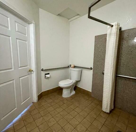 장애인을 위한 킹사이즈 침대 스탠다드 룸, Palm Tropics Motel