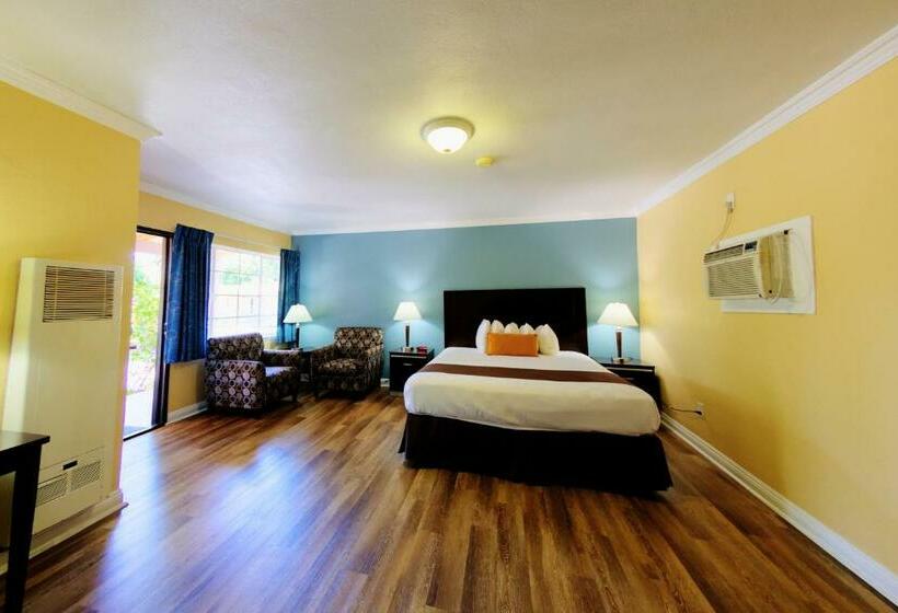 스탠다드 룸 킹사이즈 침대, Palm Tropics Motel