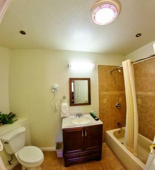 스탠다드 룸 킹사이즈 침대, Palm Tropics Motel