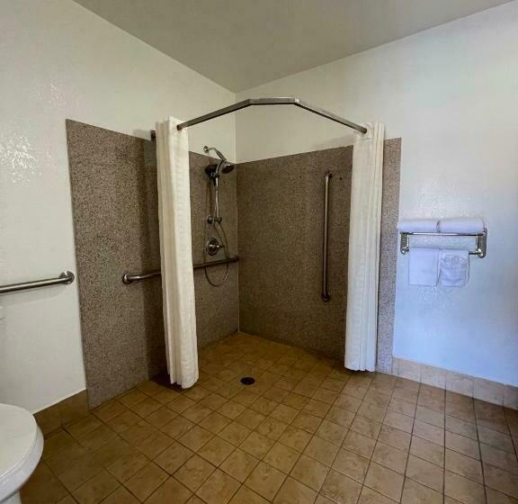 장애인을 위한 킹사이즈 침대 스탠다드 룸, Palm Tropics Motel