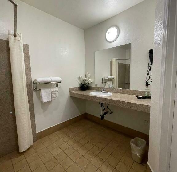 장애인을 위한 킹사이즈 침대 스탠다드 룸, Palm Tropics Motel