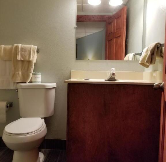 스탠다드 룸 킹사이즈 침대, Wolds Motel   Mt. Pleasant