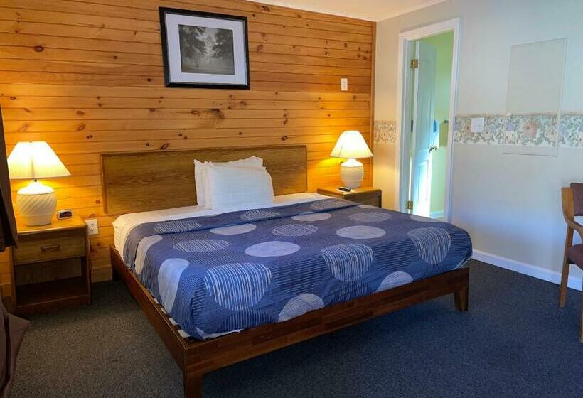 اتاق استاندارد با تخت بزرگ, A Holiday Motel   Maggie Valley