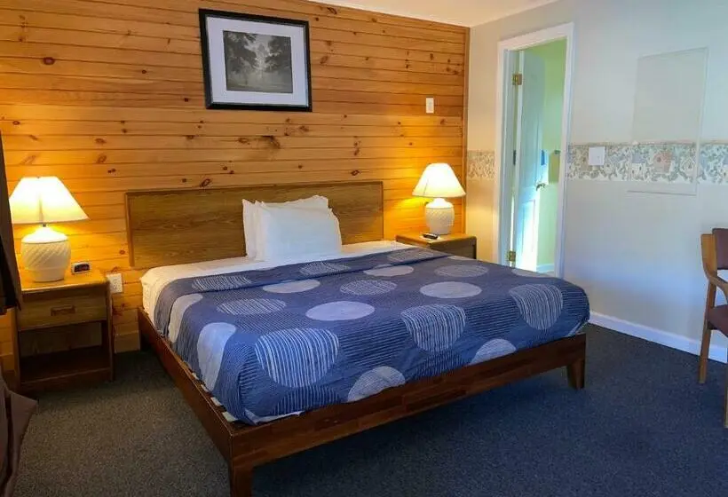 キングサイズベッドのスタンダードルーム, A Holiday Motel Maggie Valley