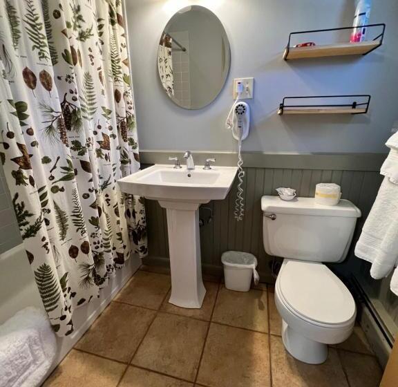 带大床的标准间, Alamoosook Lakeside Inn Orland