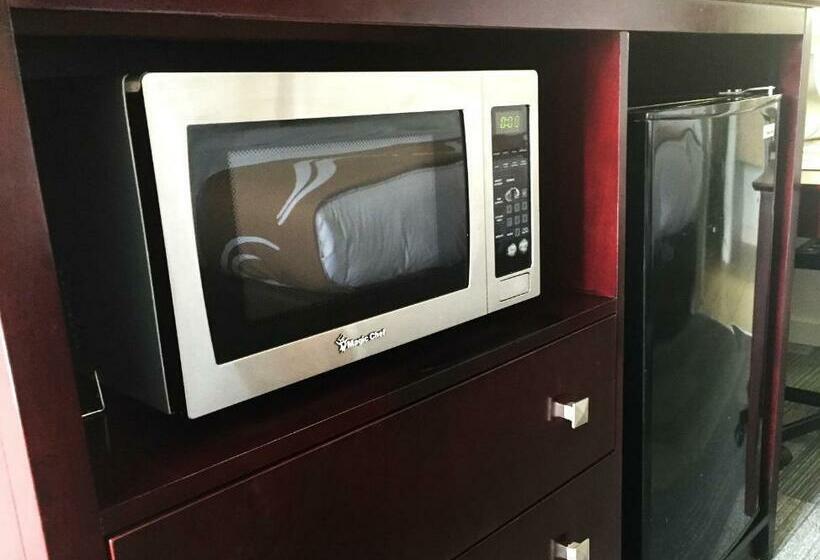 غرفه قياسيه سريرين مزدوجين, Quality Inn & Suites By The Parks