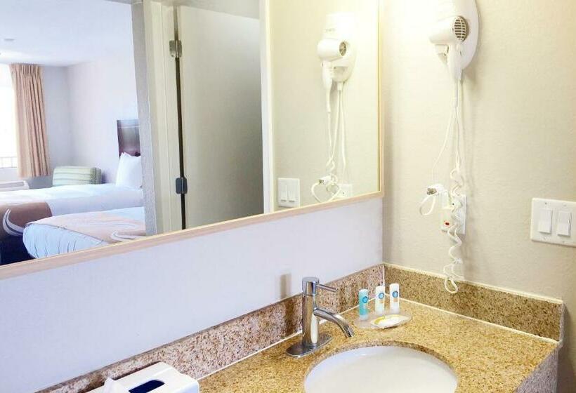 غرفه قياسيه سريرين مزدوجين, Quality Inn & Suites By The Parks