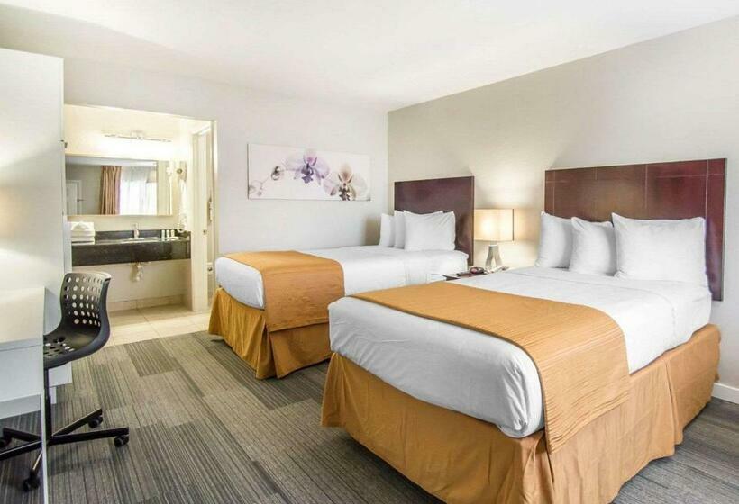 俱乐部房间, Quality Inn & Suites By The Parks