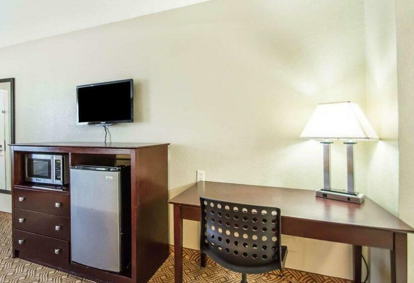 غرفة قياسية سرير كينج لذوى الإحتياجات الخاصة, Quality Inn & Suites By The Parks