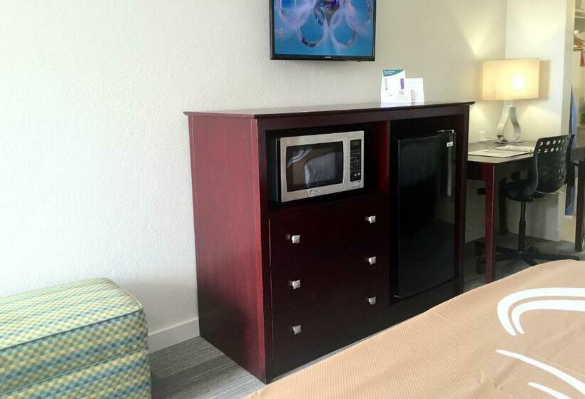 适合残疾人士使用的带超级大床的标准间, Quality Inn & Suites By The Parks