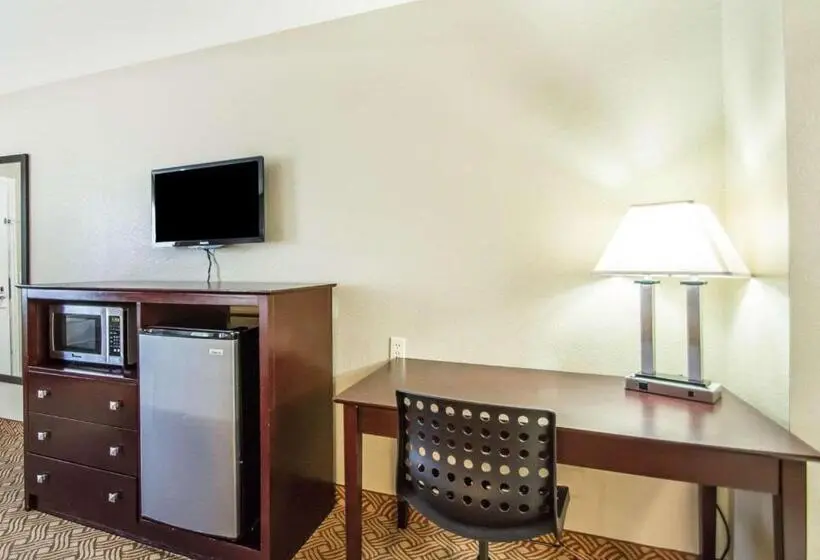 Standard-huone King-vuode, Quality Inn & Suites By The Parks